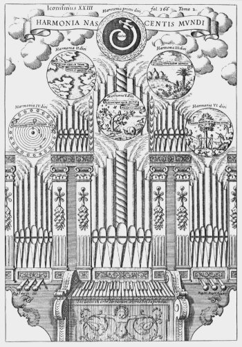 Organum
decaulum